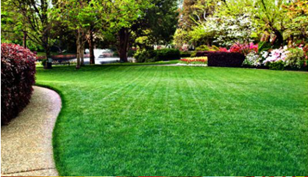 Raymond Sion East garden